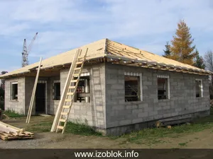 38a lipa u havlbrodu